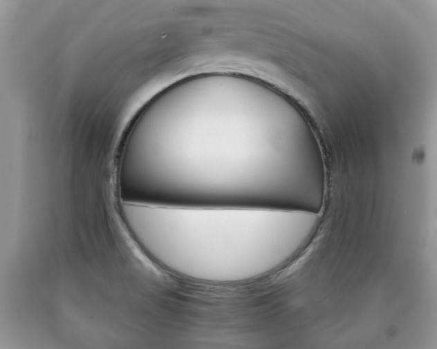 X0000090761517200707201043