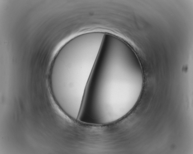 X0000090761518200707201043
