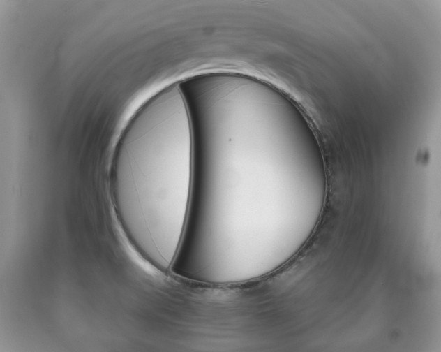 X0000090761519200707201043