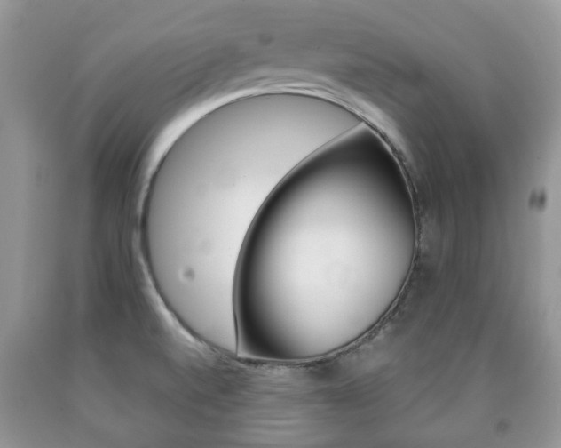 X0000090761520200707201043