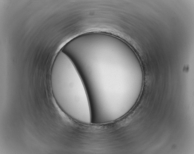 X0000090761521200707201043
