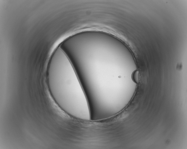 X0000090761522200707201043