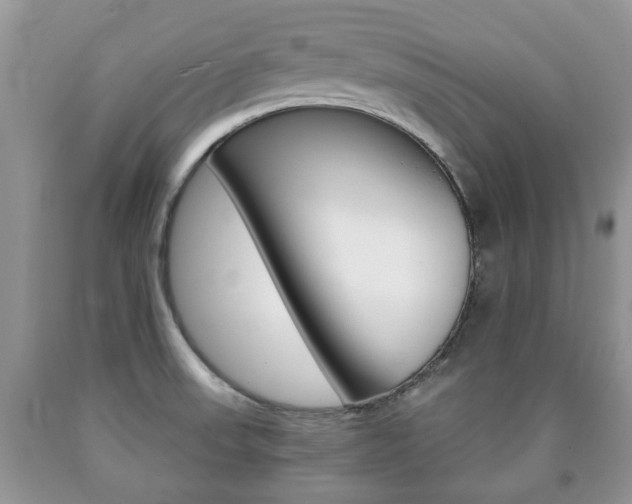 X0000090761523200707201043