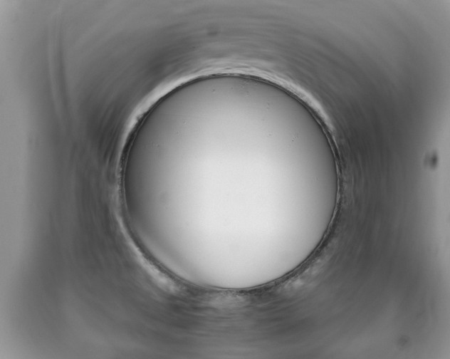 X0000090761525200707201043
