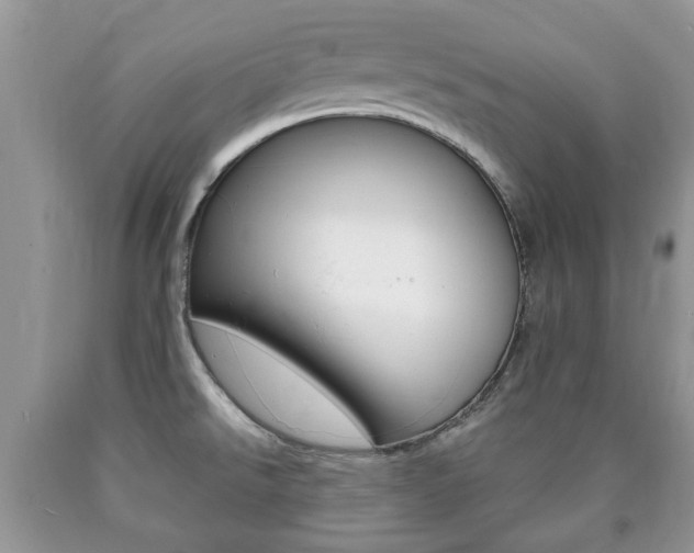 X0000090761526200707201043