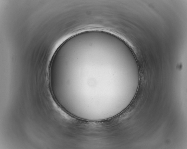 X0000090761527200707201043