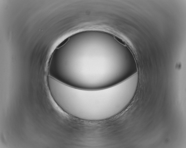 X0000090761528200707201043