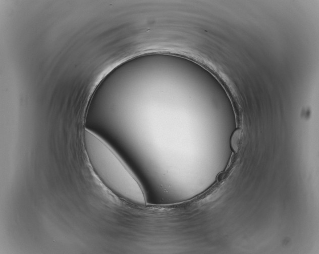 X0000090761529200707201043