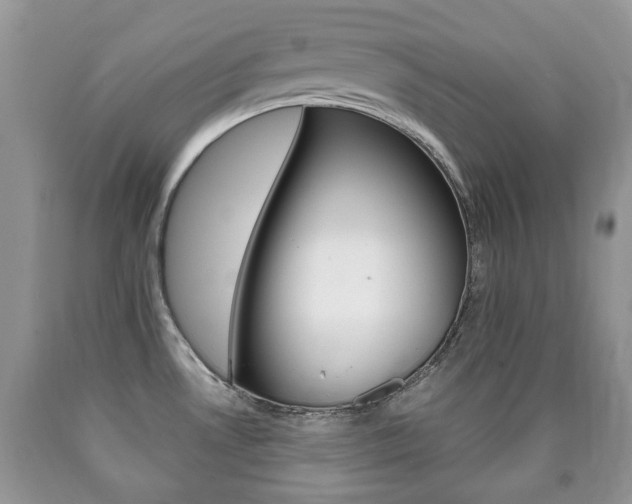 X0000090761530200707201043
