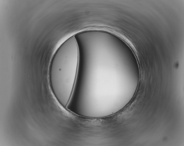 X0000090761533200707201043