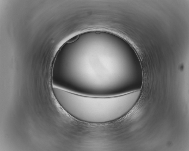 X0000090761534200707201043