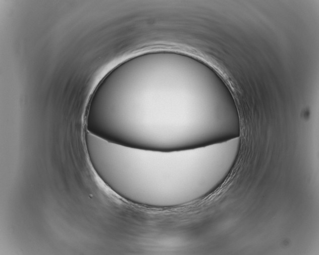 X0000090761535200707201043