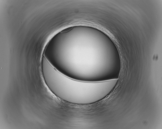 X0000090761536200707201043