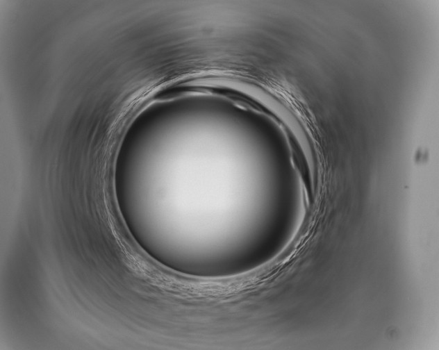 X0000090760001200707201513