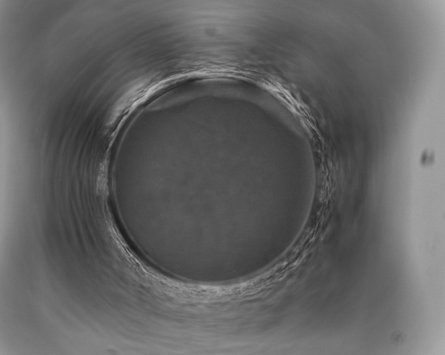 X0000090760002200707201513