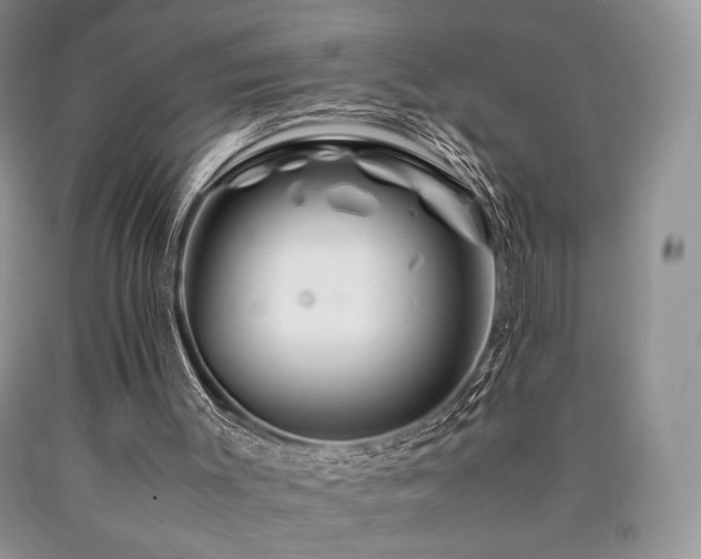 X0000090760003200707201513