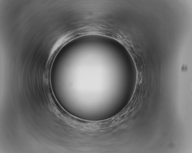 X0000090760004200707201513