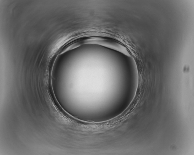 X0000090760005200707201513