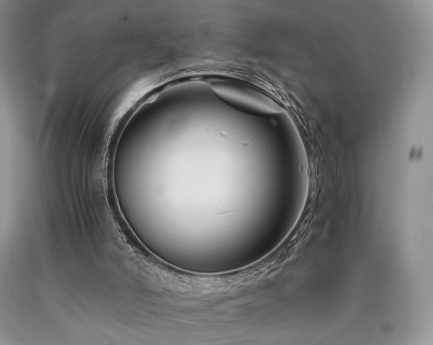 X0000090760006200707201513