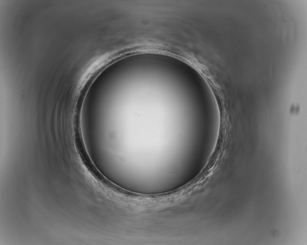 X0000090760007200707201513