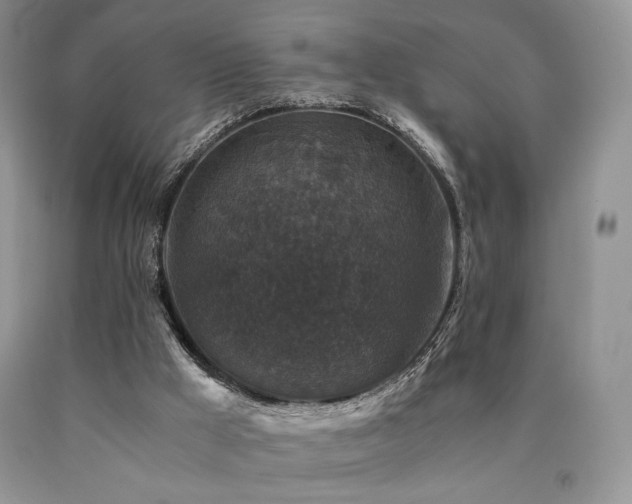 X0000090760009200707201513