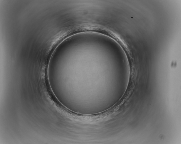 X0000090760010200707201513