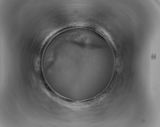 X0000090760012200707201513