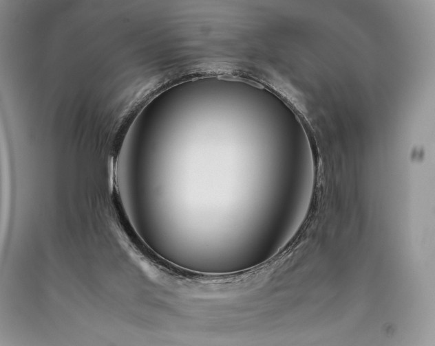 X0000090760013200707201513