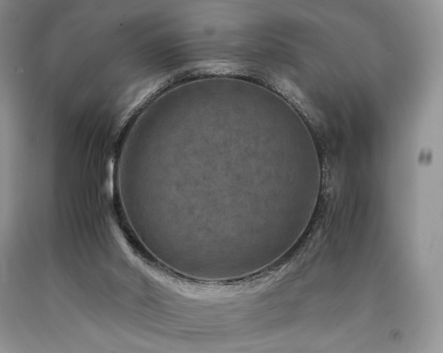 X0000090760014200707201513