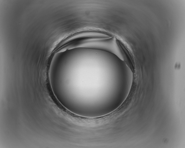 X0000090760015200707201513