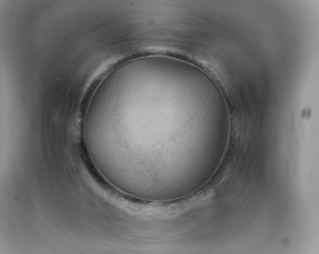 X0000090760016200707201513