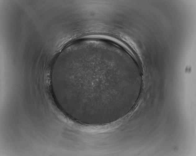 X0000090760017200707201513