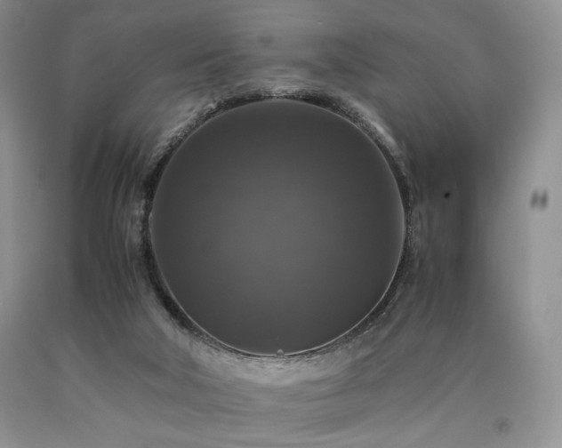 X0000090760018200707201513