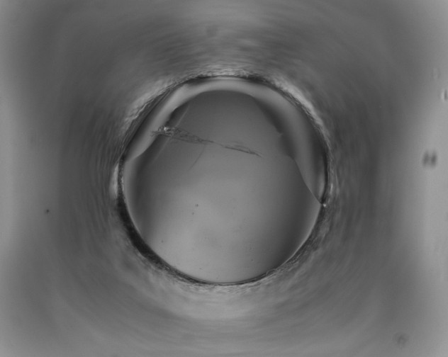 X0000090760019200707201513