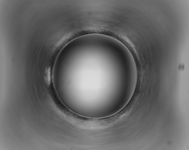 X0000090760020200707201513