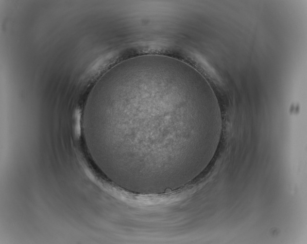 X0000090760022200707201512