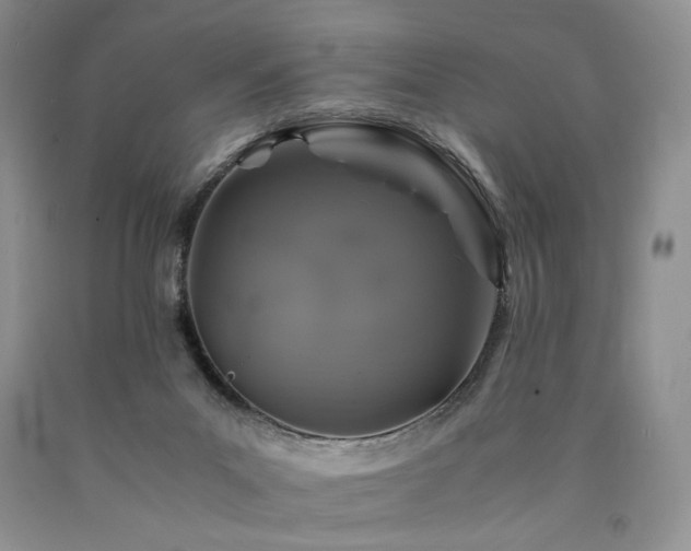 X0000090760023200707201512