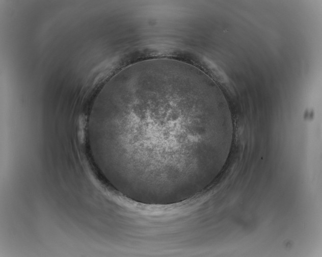 X0000090760026200707201512