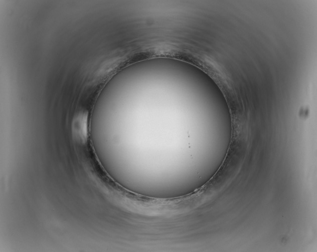 X0000090760028200707201512