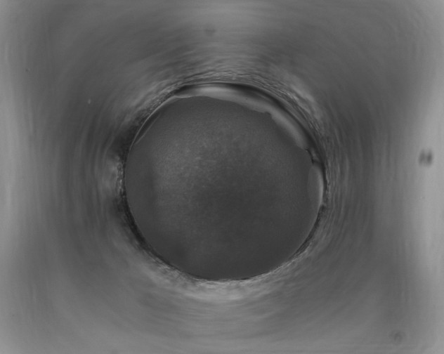 X0000090760029200707201512