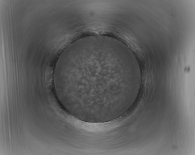 X0000090760030200707201512