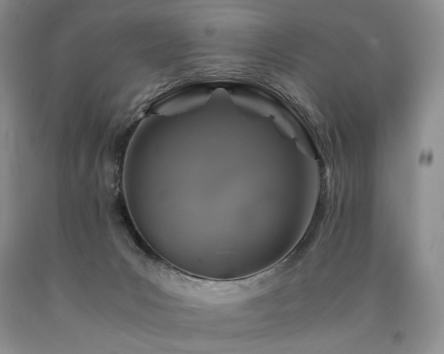 X0000090760031200707201512