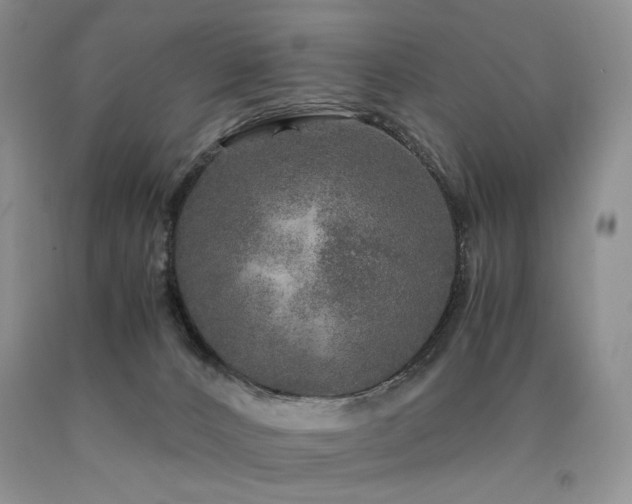 X0000090760032200707201512