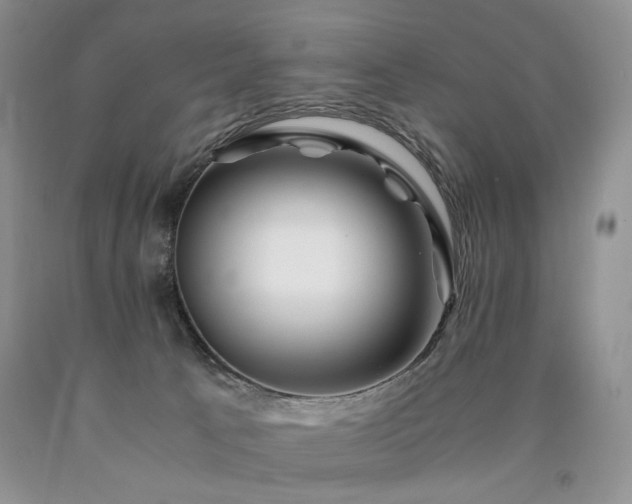 X0000090760033200707201512