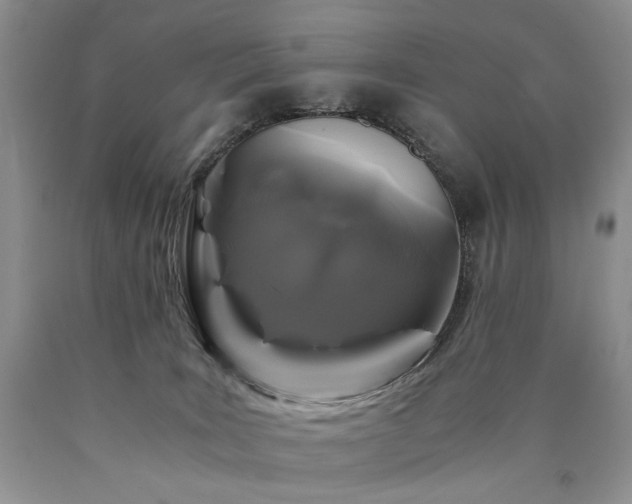 X0000090760035200707201512