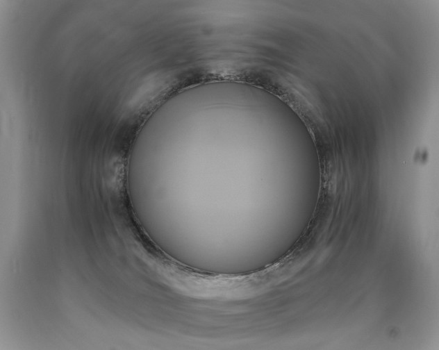 X0000090760036200707201512