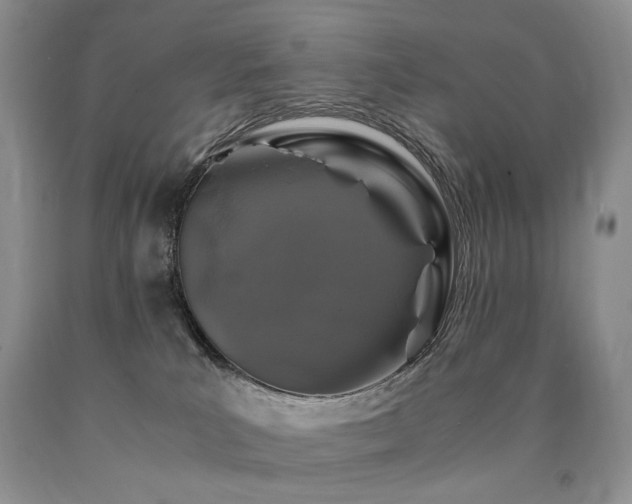 X0000090760039200707201512