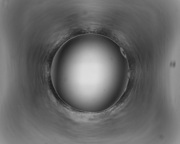 X0000090760040200707201512