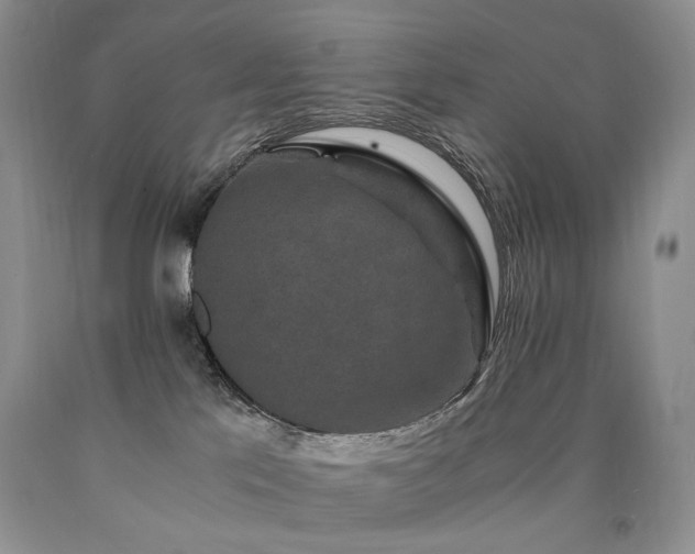 X0000090760041200707201512