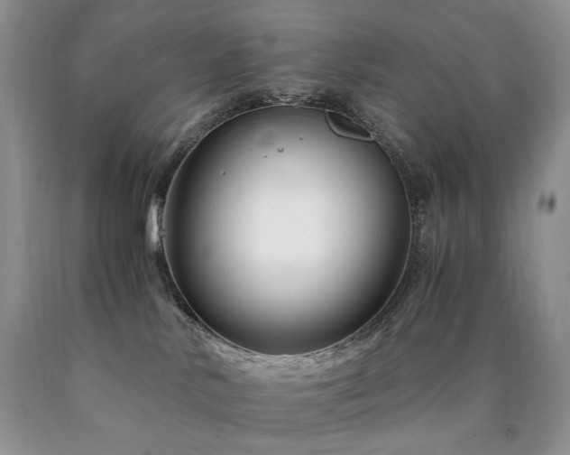 X0000090760042200707201512